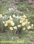 March
2003